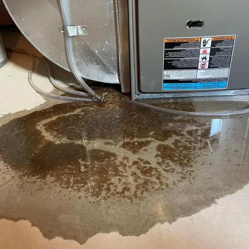 Pipe Burst and Leak Restoration in Paducah, KY